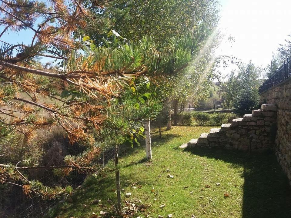 Vila118 Voskopoja Kültér fotó
